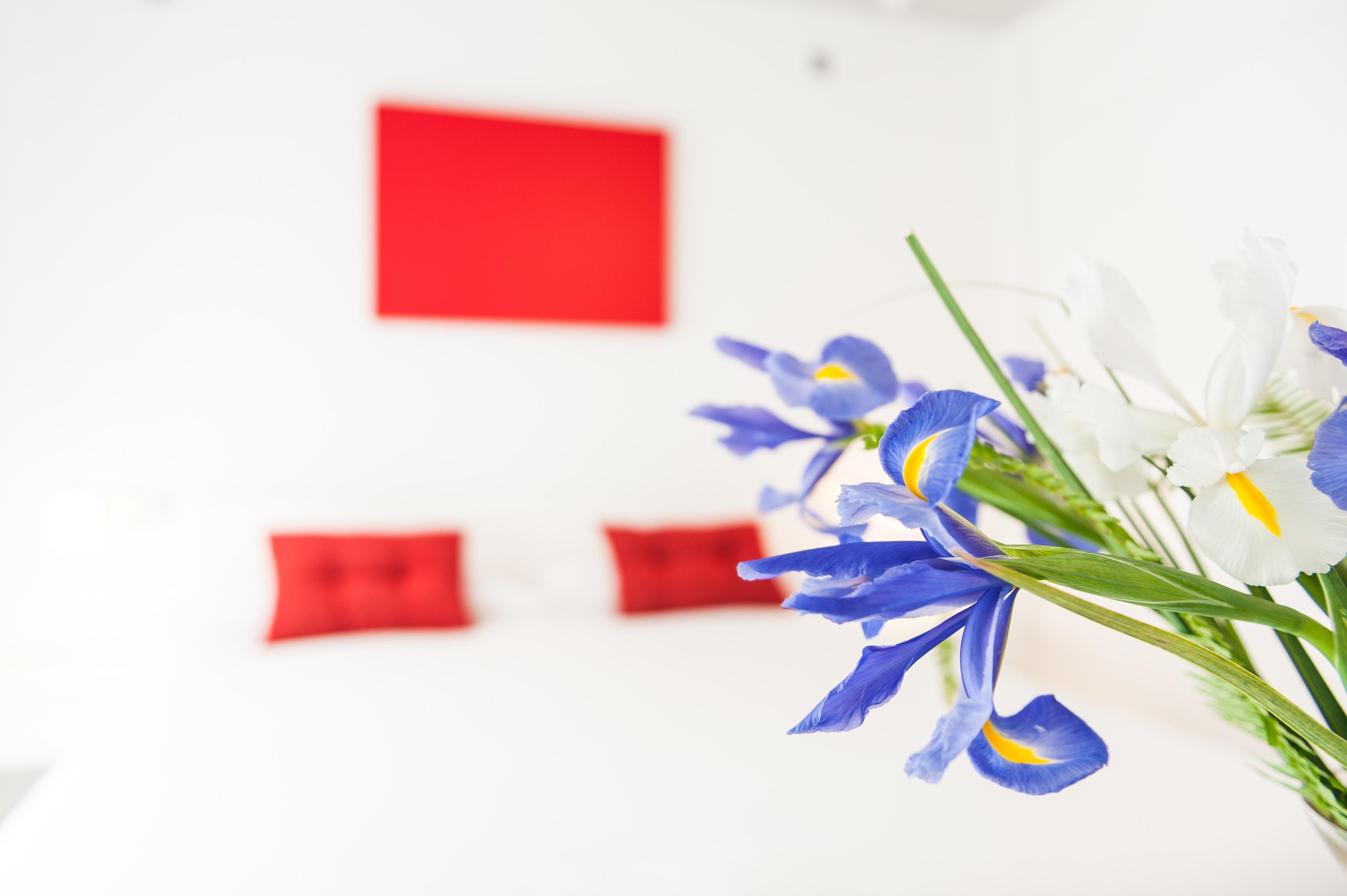 Hotel Vent Boutique
